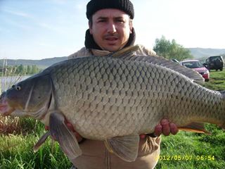 cristi